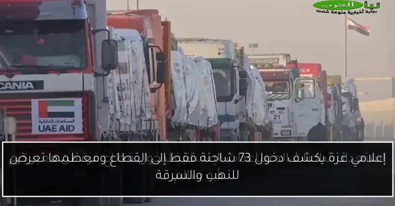 إعلامي غزة يكشف دخول 73 شاحنة فقط إلى القطاع ومعظمها تعرض للنهب والسرقة