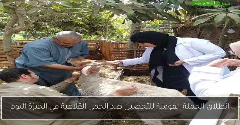 انطلاق الحملة القومية للتحصين ضد الحمى القلاعية في الجيزة اليوم