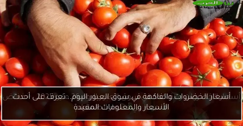 أسعار الخضروات والفاكهة في سوق العبور اليوم.. تعرف على أحدث الأسعار والمعلومات المفيدة