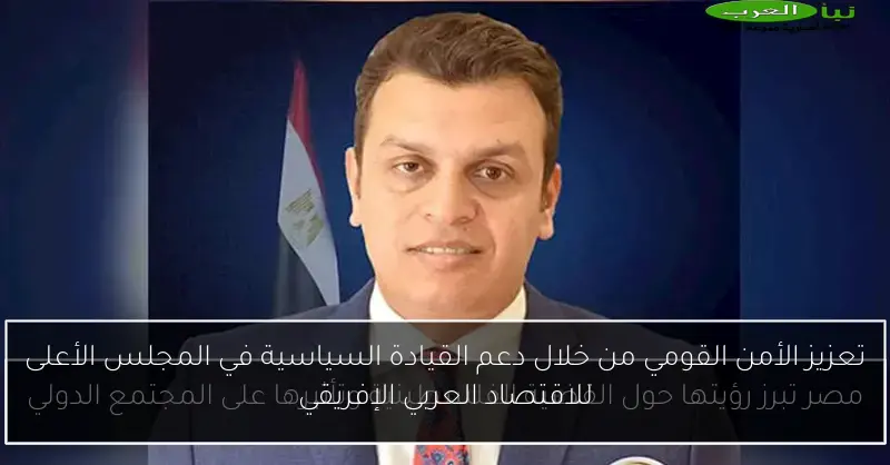 تعزيز الأمن القومي من خلال دعم القيادة السياسية في المجلس الأعلى للاقتصاد العربي الإفريقي