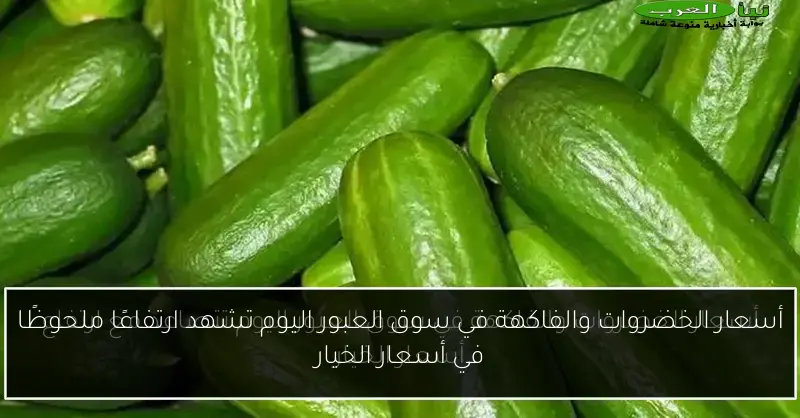 أسعار الخضروات والفاكهة في سوق العبور اليوم تشهد ارتفاعًا ملحوظًا في أسعار الخيار