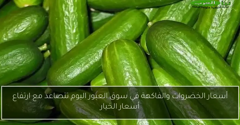 أسعار الخضروات والفاكهة في سوق العبور اليوم تتصاعد مع ارتفاع أسعار الخيار