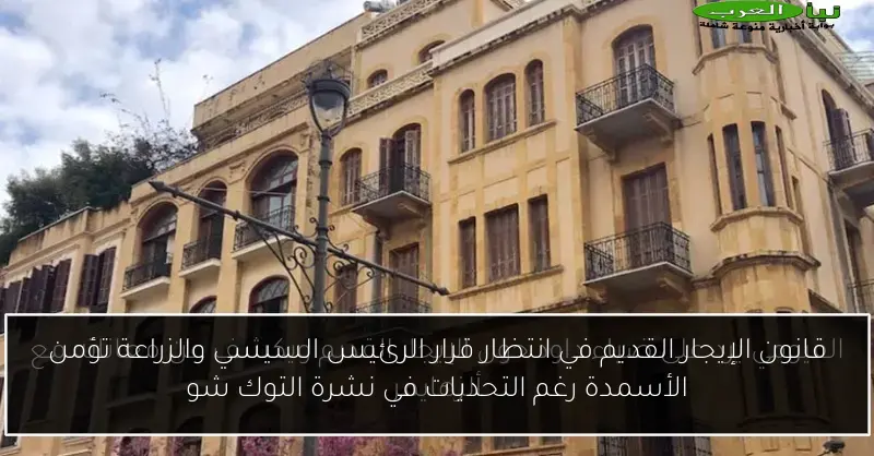 قانون الإيجار القديم في انتظار قرار الرئيس السيسي والزراعة تؤمن الأسمدة رغم التحديات في نشرة التوك شو