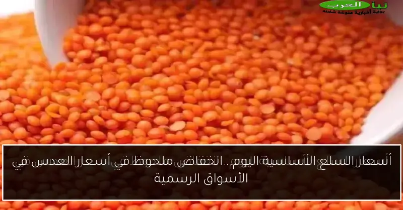 أسعار السلع الأساسية اليوم.. انخفاض ملحوظ في أسعار العدس في الأسواق الرسمية