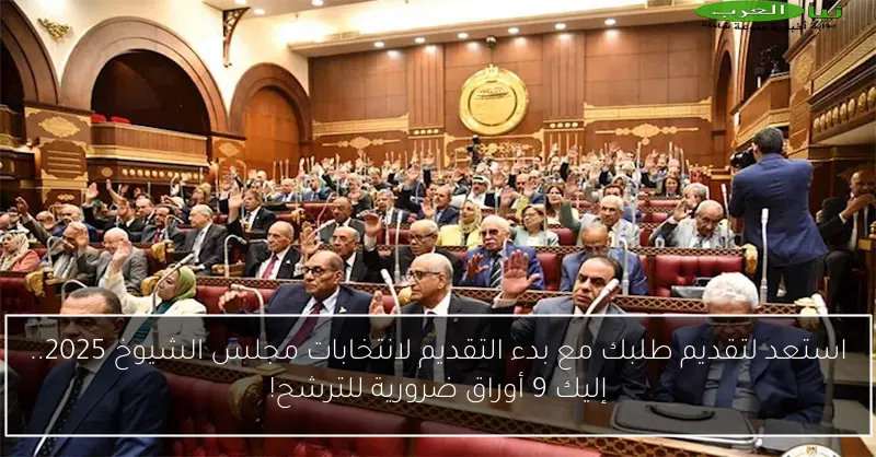 استعد لتقديم طلبك مع بدء التقديم لانتخابات مجلس الشيوخ 2025.. إليك 9 أوراق ضرورية للترشح!