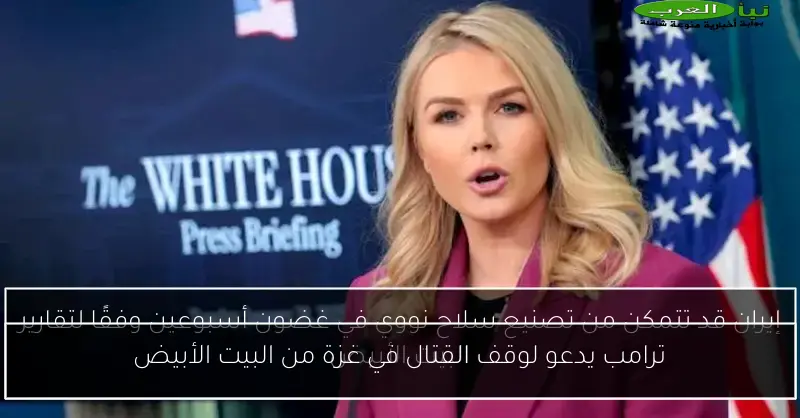 ترامب يدعو لوقف القتال في غزة من البيت الأبيض
