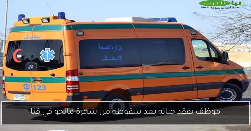 موظف يفقد حياته بعد سقوطه من شجرة مانجو في قنا