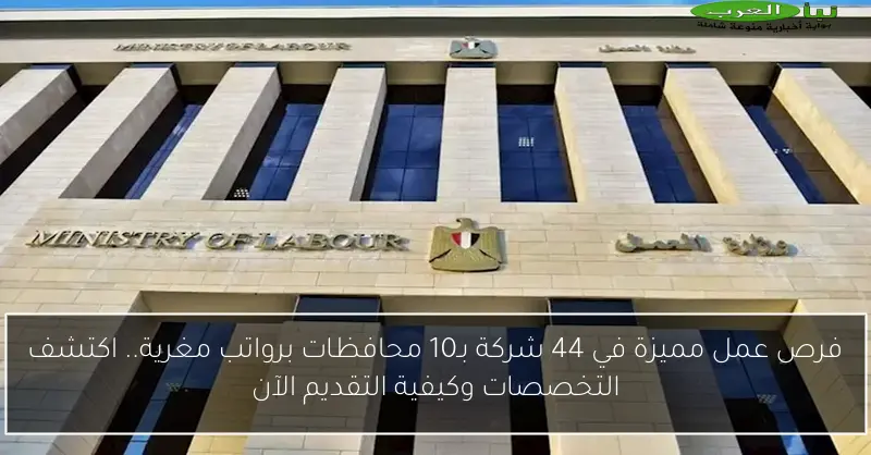 فرص عمل مميزة في 44 شركة بـ10 محافظات برواتب مغرية.. اكتشف التخصصات وكيفية التقديم الآن