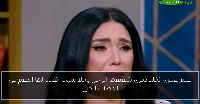 عبير صبري تخلد ذكرى شقيقها الراحل وحلا شيحة تقدم لها الدعم في لحظات الحزن