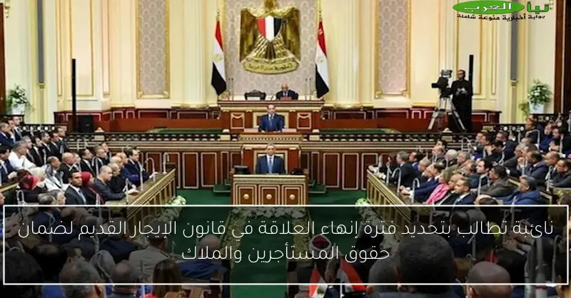 نائبة تطالب بتحديد فترة إنهاء العلاقة في قانون الإيجار القديم لضمان حقوق المستأجرين والملاك