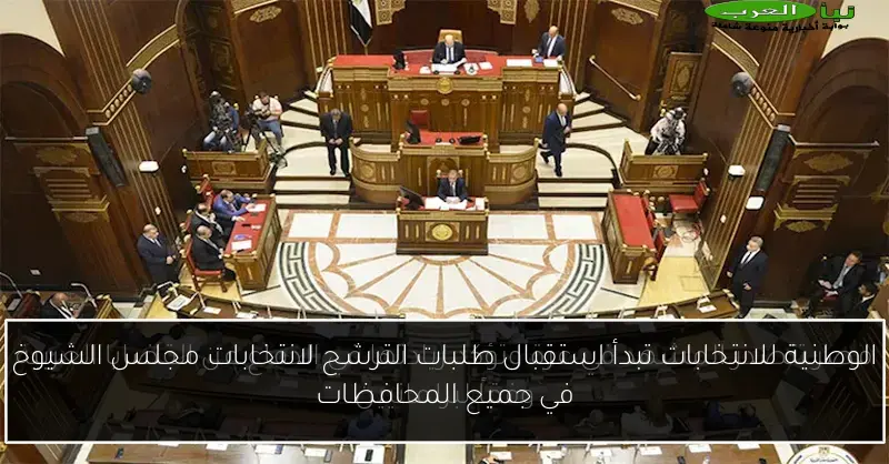 الوطنية للانتخابات تبدأ استقبال طلبات الترشح لانتخابات مجلس الشيوخ في جميع المحافظات