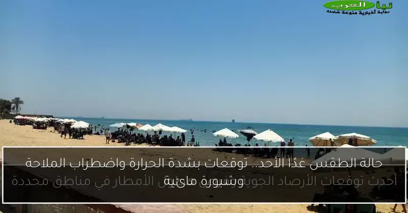 حالة الطقس غدًا الأحد.. توقعات بشدة الحرارة واضطراب الملاحة وشبورة مائية