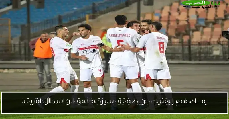 زمالك مصر يقترب من صفقة مميزة قادمة من شمال أفريقيا