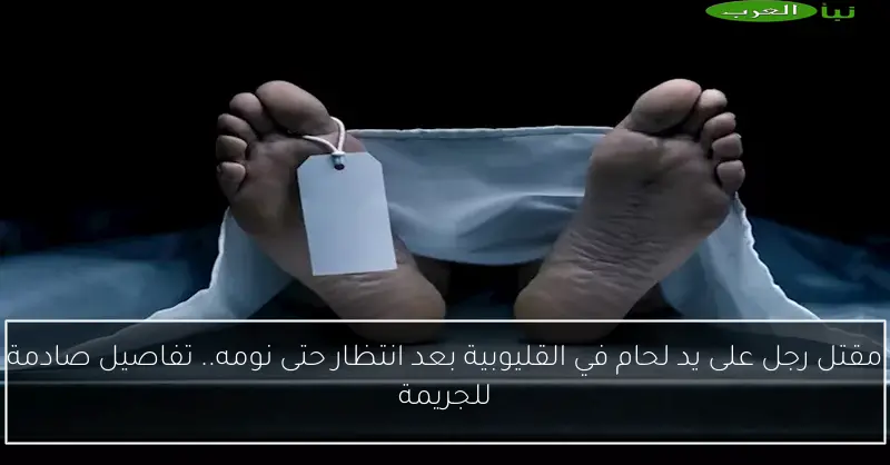مقتل رجل على يد لحام في القليوبية بعد انتظار حتى نومه.. تفاصيل صادمة للجريمة