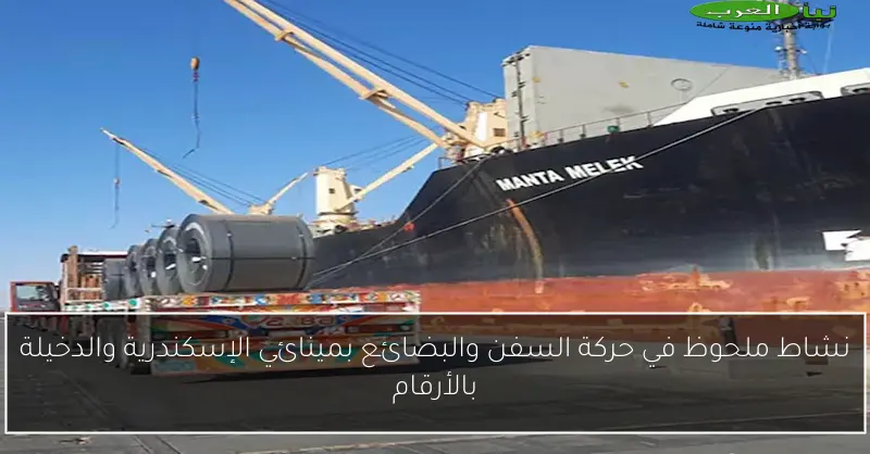 نشاط ملحوظ في حركة السفن والبضائع بمينائي الإسكندرية والدخيلة بالأرقام