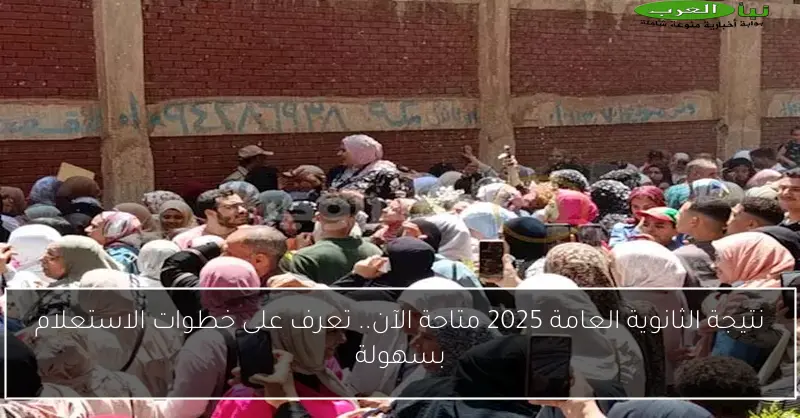 نتيجة الثانوية العامة 2025 متاحة الآن.. تعرف على خطوات الاستعلام بسهولة