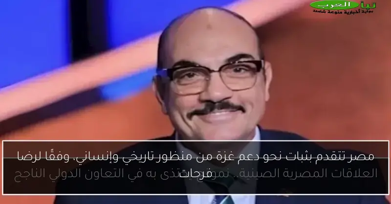 مصر تتقدم بثبات نحو دعم غزة من منظور تاريخي وإنساني، وفقًا لرضا فرحات