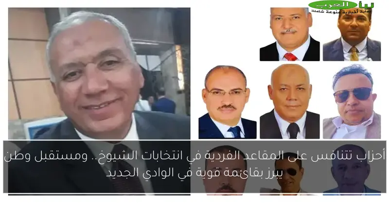 أحزاب تتنافس على المقاعد الفردية في انتخابات الشيوخ.. ومستقبل وطن يبرز بقائمة قوية في الوادي الجديد