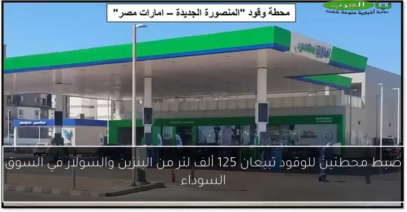 ضبط محطتين للوقود تبيعان 125 ألف لتر من البنزين والسولار في السوق السوداء