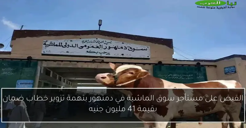 القبض على مستأجر سوق الماشية في دمنهور بتهمة تزوير خطاب ضمان بقيمة 41 مليون جنيه