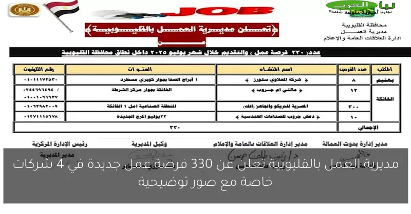 مديرية العمل بالقليوبية تعلن عن 330 فرصة عمل جديدة في 4 شركات خاصة مع صور توضيحية