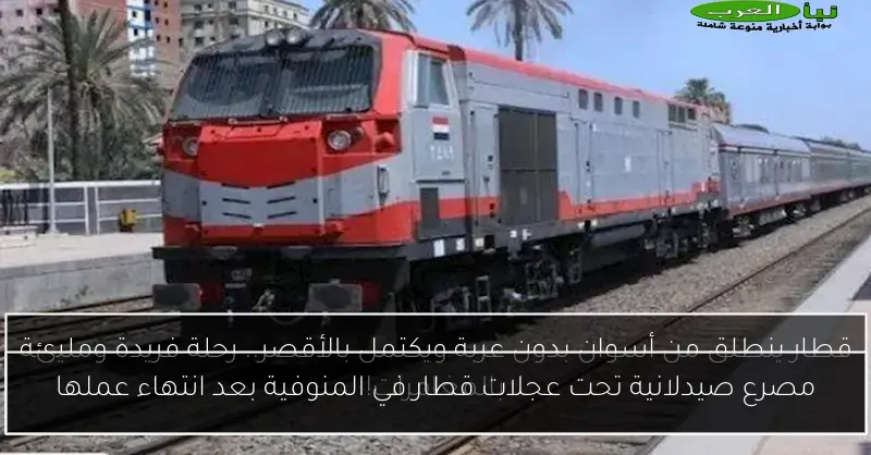 مصرع صيدلانية تحت عجلات قطار في المنوفية بعد انتهاء عملها