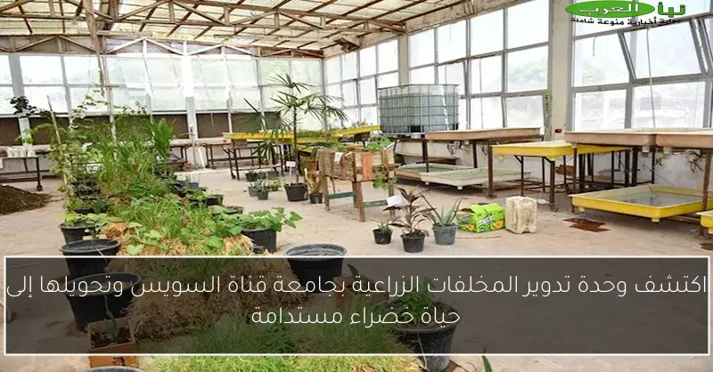 اكتشف وحدة تدوير المخلفات الزراعية بجامعة قناة السويس وتحويلها إلى حياة خضراء مستدامة