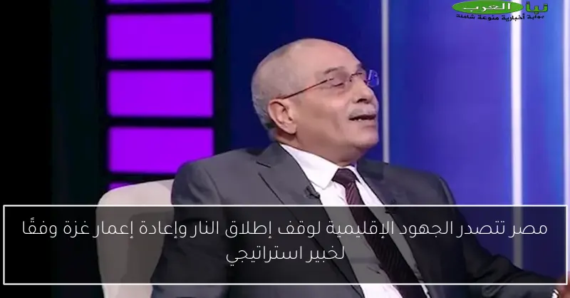 مصر تتصدر الجهود الإقليمية لوقف إطلاق النار وإعادة إعمار غزة وفقًا لخبير استراتيجي