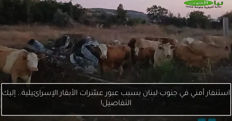 استنفار أمني في جنوب لبنان بسبب عبور عشرات الأبقار الإسرائيلية.. إليك التفاصيل!