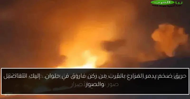 حريق ضخم يدمر المزارع بالقرب من ركن فاروق في حلوان.. إليك التفاصيل والصور
