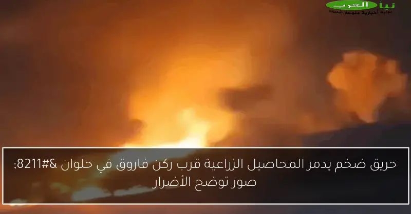 حريق ضخم يدمر المحاصيل الزراعية قرب ركن فاروق في حلوان – صور توضح الأضرار
