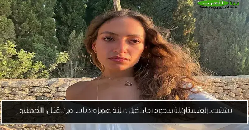 بسبب الفستان.. هجوم حاد على ابنة عمرو دياب من قبل الجمهور