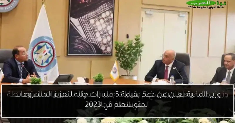 وزير المالية يعلن عن دعم بقيمة 5 مليارات جنيه لتعزيز المشروعات المتوسطة في 2023