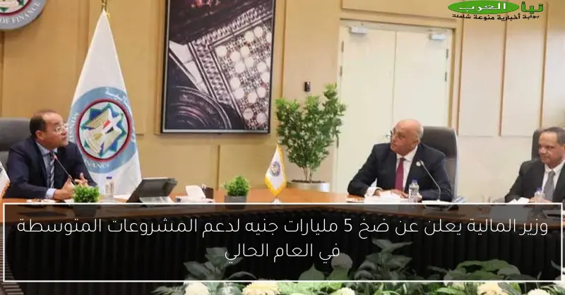 وزير المالية يعلن عن ضخ 5 مليارات جنيه لدعم المشروعات المتوسطة في العام الحالي