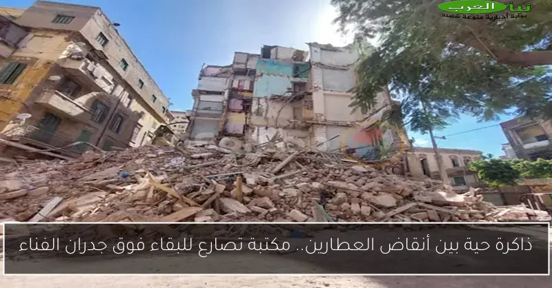 ذاكرة حية بين أنقاض العطارين.. مكتبة تصارع للبقاء فوق جدران الفناء