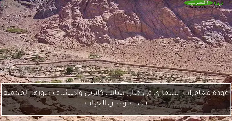 عودة مغامرات السفاري في جبال سانت كاترين واكتشاف كنوزها المخفية بعد فترة من الغياب