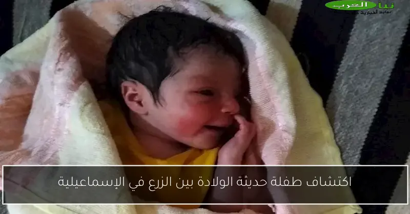 اكتشاف طفلة حديثة الولادة بين الزرع في الإسماعيلية
