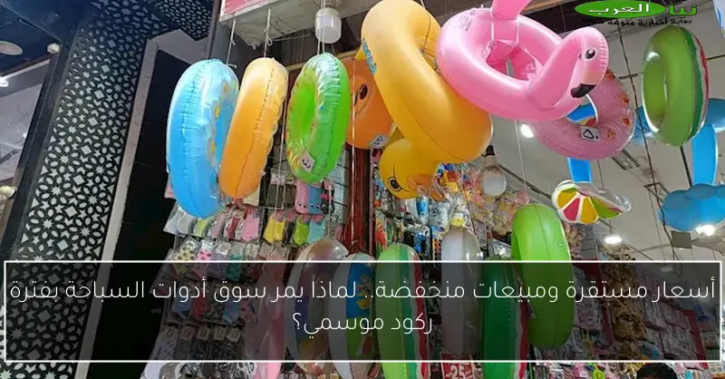 أسعار مستقرة ومبيعات منخفضة.. لماذا يمر سوق أدوات السباحة بفترة ركود موسمي؟