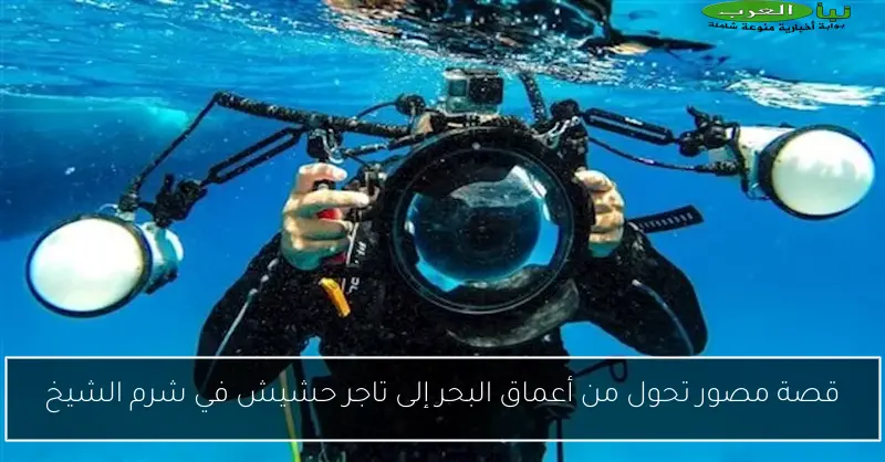 قصة مصور تحول من أعماق البحر إلى تاجر حشيش في شرم الشيخ