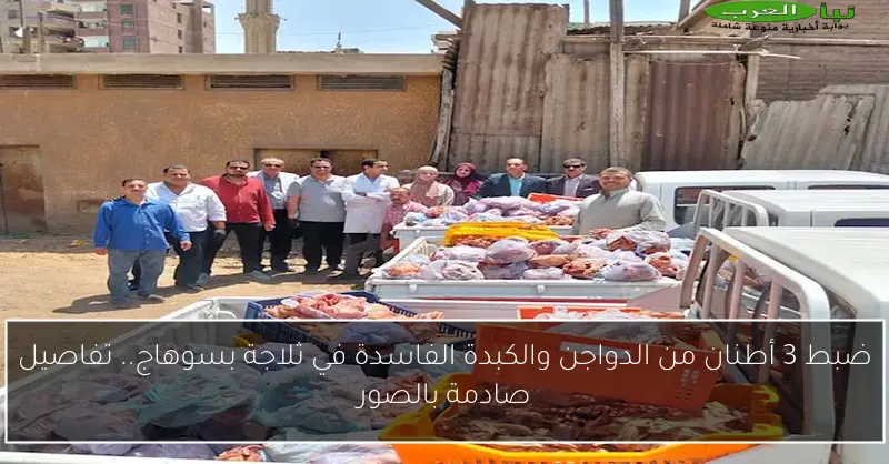ضبط 3 أطنان من الدواجن والكبدة الفاسدة في ثلاجة بسوهاج.. تفاصيل صادمة بالصور
