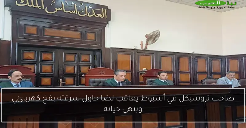 صاحب تروسيكل في أسيوط يعاقب لصًا حاول سرقته بفخ كهربائي وينهي حياته