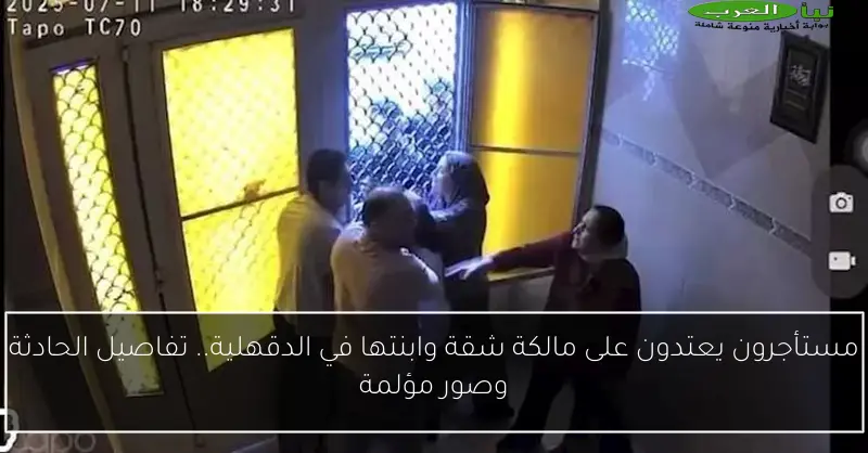 مستأجرون يعتدون على مالكة شقة وابنتها في الدقهلية.. تفاصيل الحادثة وصور مؤلمة