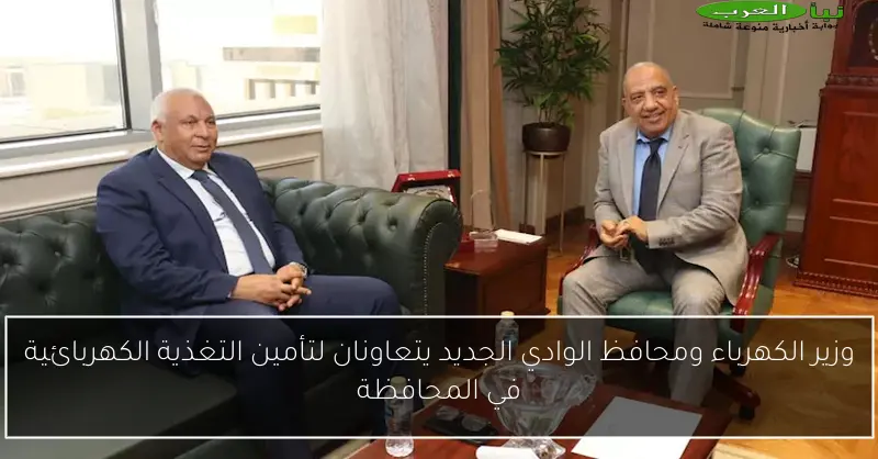 وزير الكهرباء ومحافظ الوادي الجديد يتعاونان لتأمين التغذية الكهربائية في المحافظة
