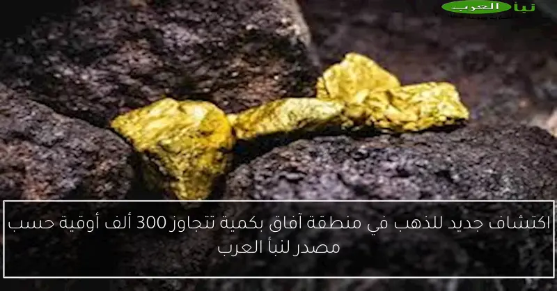 اكتشاف جديد للذهب في منطقة آفاق بكمية تتجاوز 300 ألف أوقية حسب مصدر لنبأ العرب