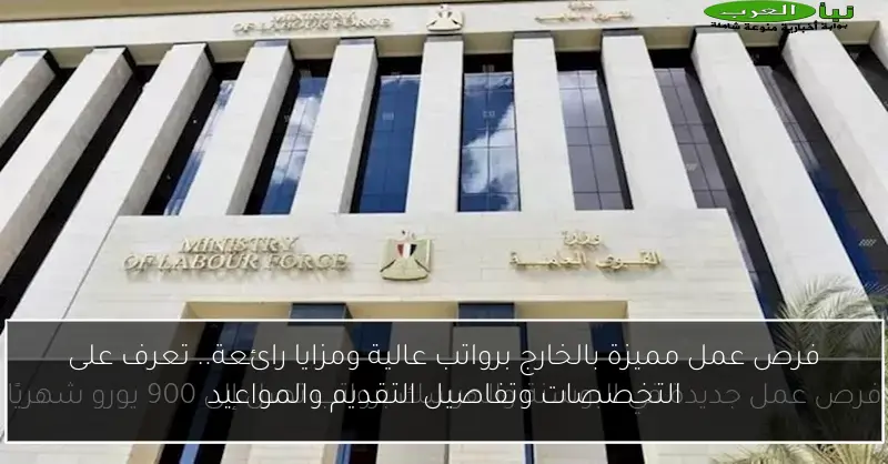 فرص عمل مميزة بالخارج برواتب عالية ومزايا رائعة.. تعرف على التخصصات وتفاصيل التقديم والمواعيد