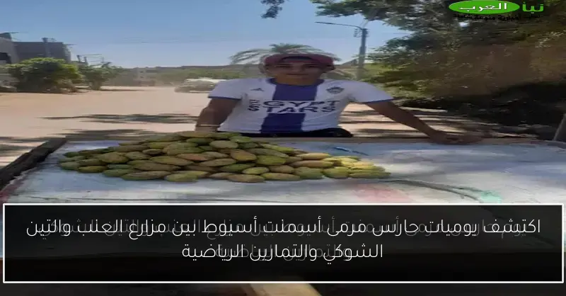 اكتشف يوميات حارس مرمى أسمنت أسيوط بين مزارع العنب والتين الشوكي والتمارين الرياضية