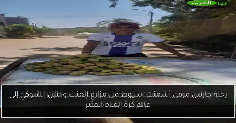 رحلة حارس مرمى أسمنت أسيوط من مزارع العنب والتين الشوكي إلى عالم كرة القدم المثير