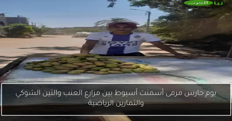 يوم حارس مرمى أسمنت أسيوط بين مزارع العنب والتين الشوكي والتمارين الرياضية