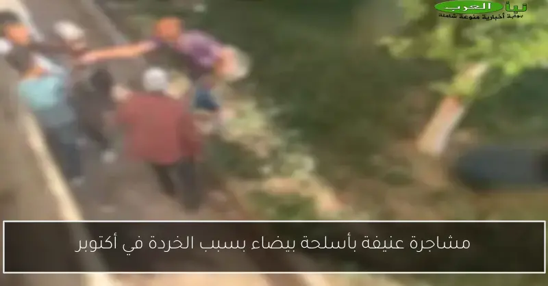 مشاجرة عنيفة بأسلحة بيضاء بسبب الخردة في أكتوبر