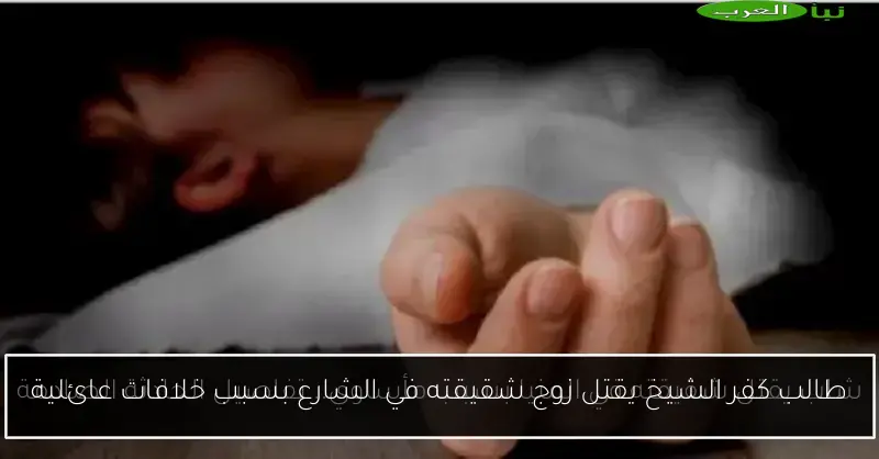 طالب كفر الشيخ يقتل زوج شقيقته في الشارع بسبب خلافات عائلية